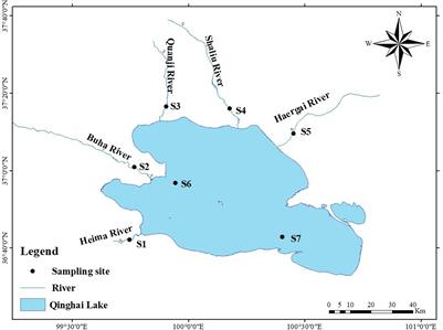 Genetic Diversity and Population Differentiation of Naked Carp (Gymnocypris przewalskii) Revealed by Cytochrome Oxidase Subunit I and D-Loop